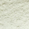 Arrowroot