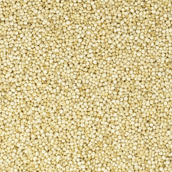 Quinoa