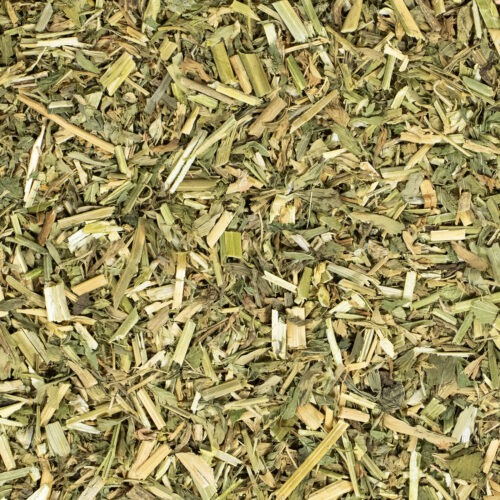 Alfalfa