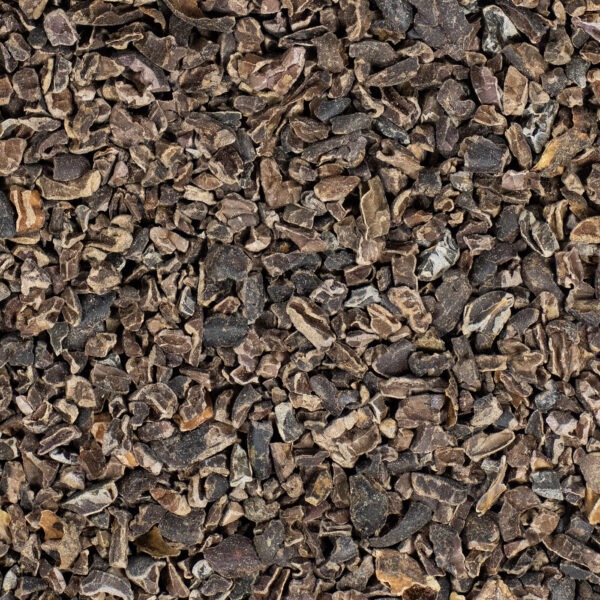 Cacao Nibs