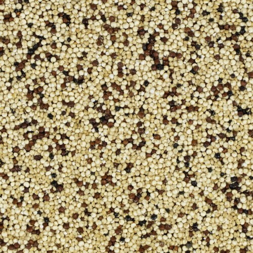 Quinoa Tricolore