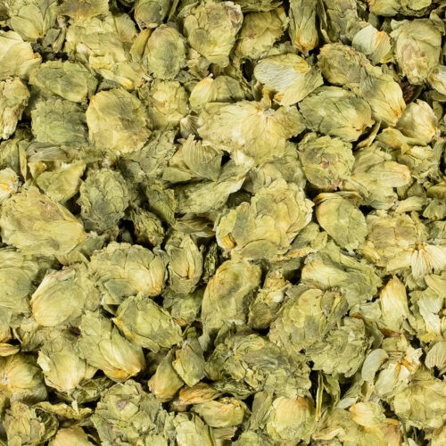 Hop