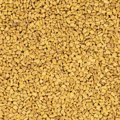 Fenegriek