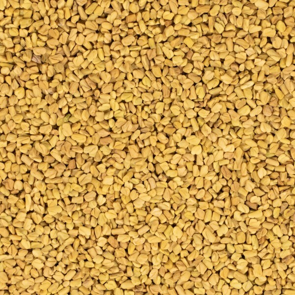 Fenegriek