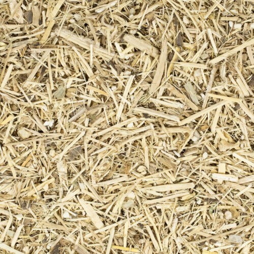 Ginseng (Siberisch)