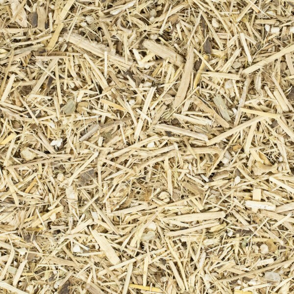 Ginseng (Siberisch)