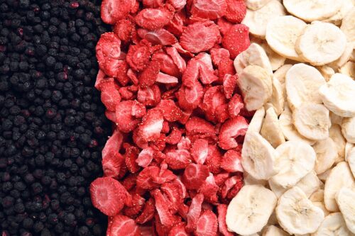 gevriesdroogd fruit