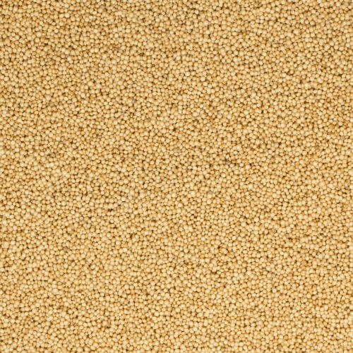 Amaranth