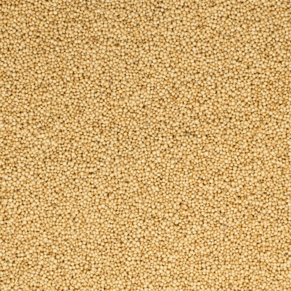 Amaranth