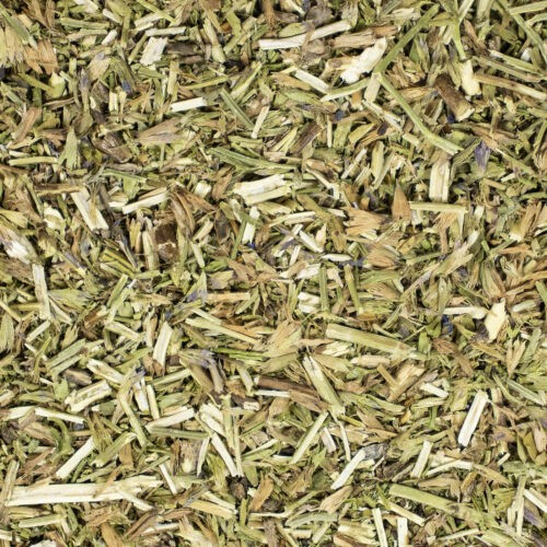 Hyssop