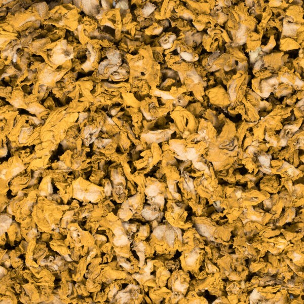 Koningskaars